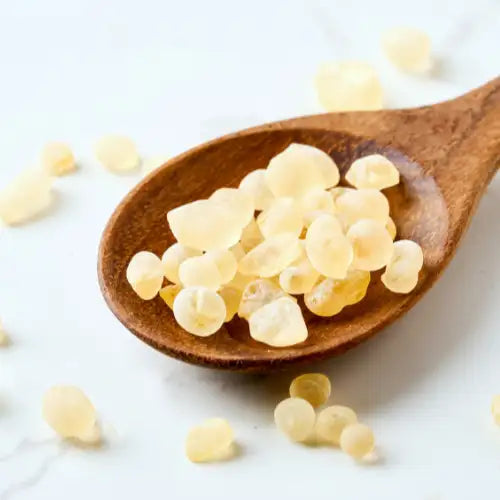 Mastic Gum
